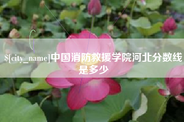 谷城中国消防救援学院河北分数线是多少