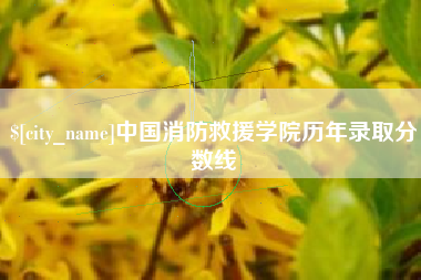 谷城中国消防救援学院历年录取分数线