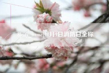 谷城11月9日消防日全称