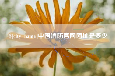 谷城中国消防官网网址是多少