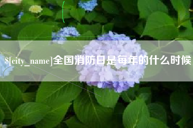 谷城全国消防日是每年的什么时候