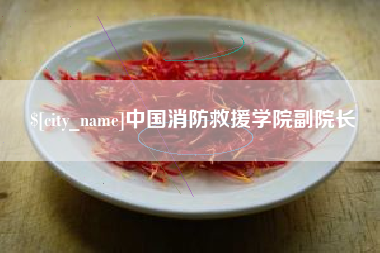 谷城中国消防救援学院副院长