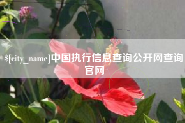 谷城中国执行信息查询公开网查询官网