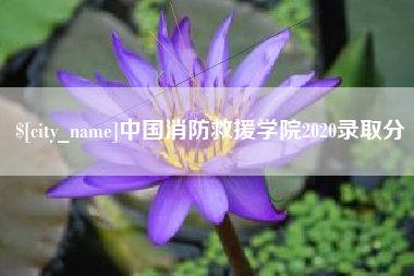 谷城中国消防救援学院2020录取分