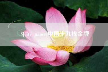 谷城中国十九枚金牌