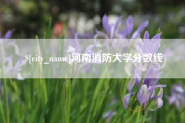 谷城河南消防大学分数线