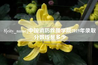谷城中国消防救援学院2019年录取分数线是多少