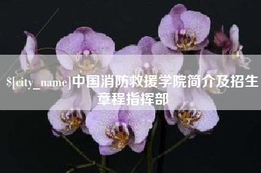 谷城中国消防救援学院简介及招生章程指挥部
