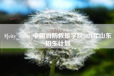 谷城中国消防救援学院2021年山东招生计划