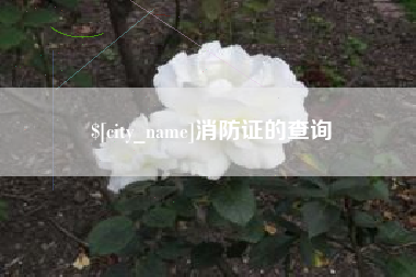 谷城消防证的查询