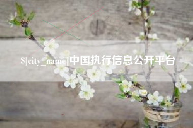 谷城中国执行信息公开平台