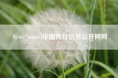 谷城中国执行信息公开网网