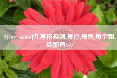 谷城九宫格规则,每行,每列,每个粗线都有1-9