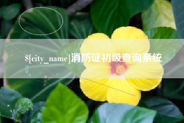 谷城消防证初级查询系统