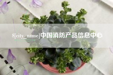 谷城中国消防产品信息中心