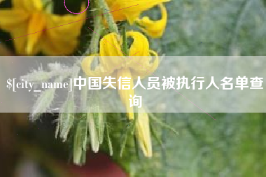 谷城中国失信人员被执行人名单查询