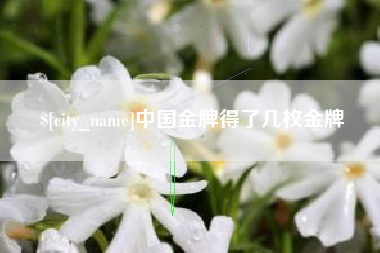 谷城中国金牌得了几枚金牌
