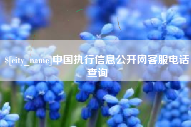 谷城中国执行信息公开网客服电话查询