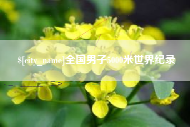 谷城全国男子5000米世界纪录
