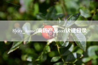 谷城消防产品cccf认证目录