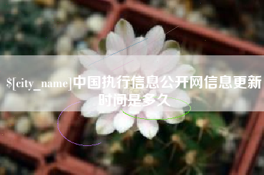谷城中国执行信息公开网信息更新时间是多久