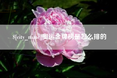 谷城奥运金牌榜是怎么排的