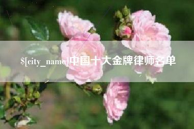 谷城中国十大金牌律师名单