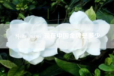 谷城现在中国金牌是多少