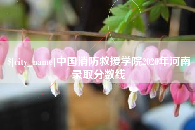 谷城中国消防救援学院2020年河南录取分数线