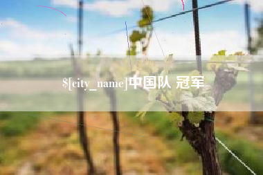 谷城中国队 冠军