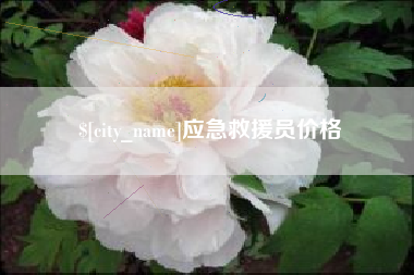 谷城应急救援员价格