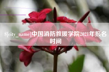 谷城中国消防救援学院2021年报名时间