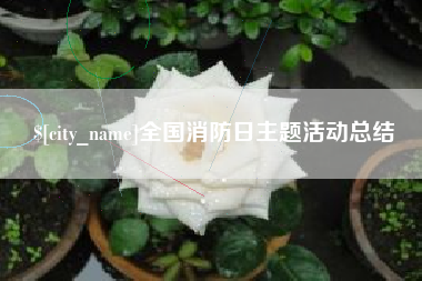 谷城全国消防日主题活动总结