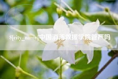 谷城中国消防救援学院管严吗