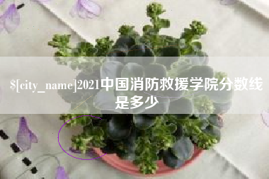 谷城2021中国消防救援学院分数线是多少