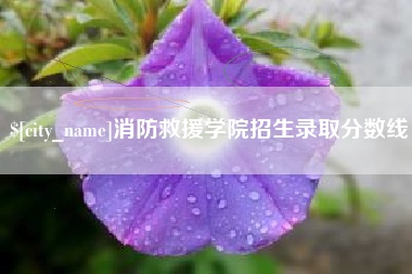 谷城消防救援学院招生录取分数线