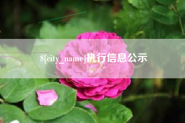 谷城执行信息公示