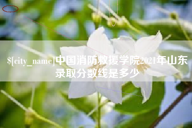 谷城中国消防救援学院2021年山东录取分数线是多少