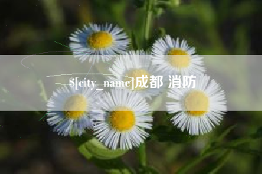 谷城成都 消防