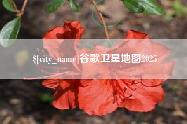 谷城谷歌卫星地图2025