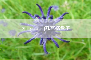 谷城九宫格盘子