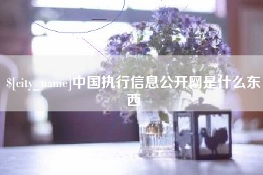 谷城中国执行信息公开网是什么东西