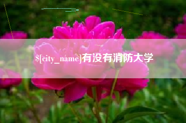 谷城有没有消防大学
