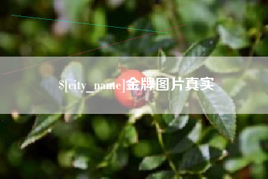 谷城金牌图片真实