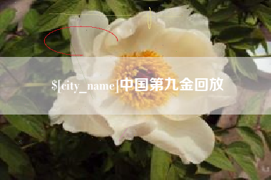 谷城中国第九金回放