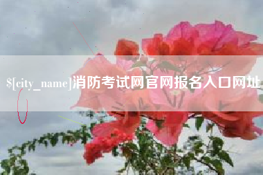 谷城消防考试网官网报名入口网址