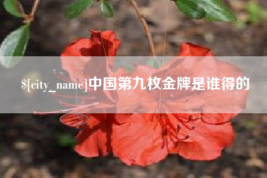 谷城中国第九枚金牌是谁得的