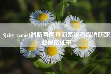 谷城消防官网查询系统查询消防职业资格证书
