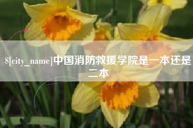 谷城中国消防救援学院是一本还是二本