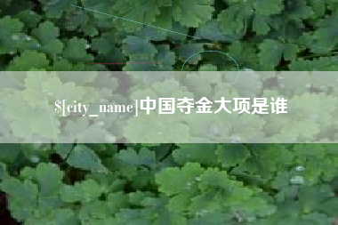谷城中国夺金大项是谁